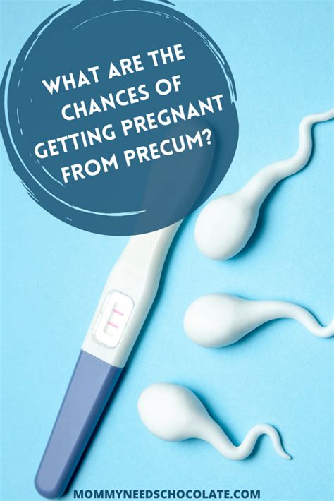 what are the odds of getting pregnant from precum|Chances of Getting Pregnant From Precum .